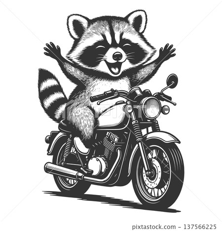 Cute Raccoon Riding Vintage Motorcycle vector 137566225