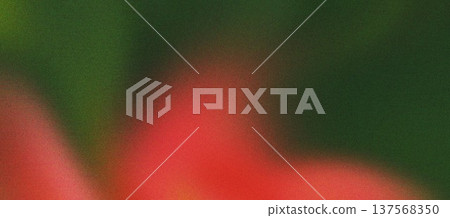 Grainy Green Red Abstract Gradient Background Grainy Green Red Abstract Gradient Background 137568350