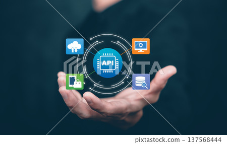 API Integration and Software Development Interface Concept 137568444
