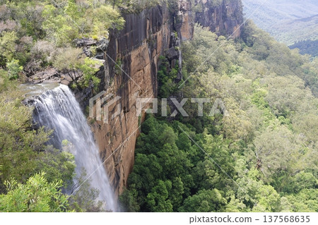 Fitzroy Falls in Morton National Park. Fitzroy Falls in Morton National Park. 137568635