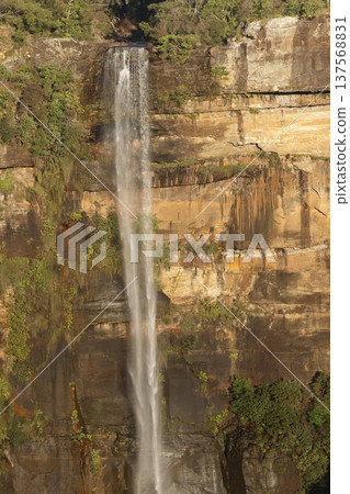Fitzroy Falls in Morton National Park. Fitzroy Falls in Morton National Park. 137568831