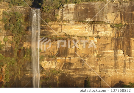 Fitzroy Falls in Morton National Park. 137568832