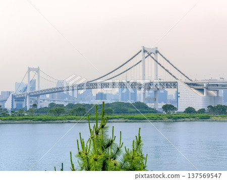 Rainbow Bridge, Tokyo, Japan 137569547