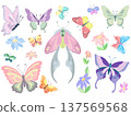 set of butterflies isolated on white 137569568