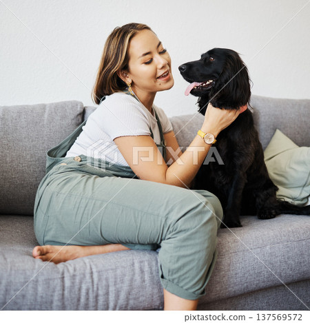 Happy, love and woman with dog in home sofa to relax and play with animal. Pet owner, care and asian person on couch with companion, smile and wellness or friendship and together in cozy apartment Happy, love and woman with dog in home sofa to relax and play with animal. Pet owner, care and asian person on couch with companion, smile and wellness or friendship and together in cozy apartment 137569572