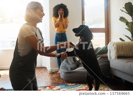 Woman, dance and happy dog in home, living room and teaching or learning a trick in development or growth in apartment. Training, pet and people in house with cocker spaniel, animal or bonding Woman, dance and happy dog in home, living room and teaching or learning a trick in development or growth in apartment. Training, pet and people in house with cocker spaniel, animal or bonding 137569665