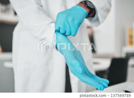 Hands, science and gloves for safety with a person in a laboratory for research or innovation closeup. Healthcare, medical and a scientist in a lab for analysis, development or discovery in medicine 137569789