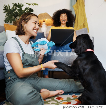 Home, gay or happy couple with dog in house living room on floor to relax with paw trick, loyalty or love. Teaching pet, handshake or woman playing with an animal with care, support or smile on mat Home, gay or happy couple with dog in house living room on floor to relax with paw trick, loyalty or love. Teaching pet, handshake or woman playing with an animal with care, support or smile on mat 137569795