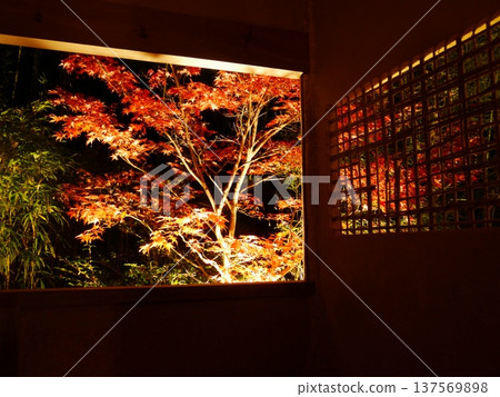 風景與秋天的落葉 137569898