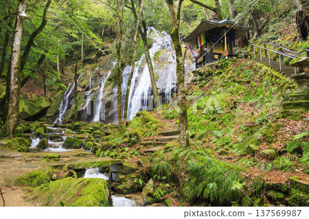 Kanebiki Falls, Miyazu, Kyoto Kanebiki Falls, Miyazu, Kyoto 137569987