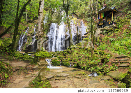 Kanebiki Falls, Miyazu, Kyoto Kanebiki Falls, Miyazu, Kyoto 137569989