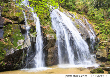 Kanebiki Falls, Miyazu, Kyoto Kanebiki Falls, Miyazu, Kyoto 137569995