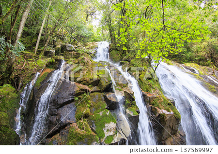 Kanebiki Falls, Miyazu, Kyoto Kanebiki Falls, Miyazu, Kyoto 137569997