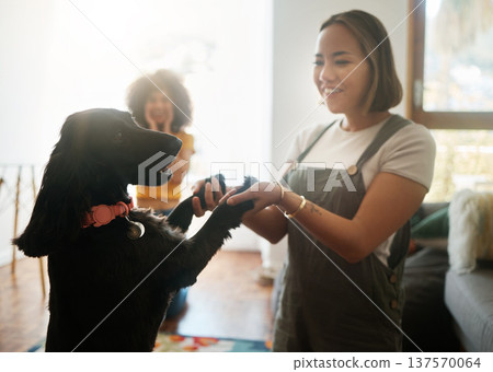 Happy, dance and woman with dog in home, living room and teaching or learning a trick in development or growth in apartment. Training, pet and people in house with cocker spaniel, animal or bonding Happy, dance and woman with dog in home, living room and teaching or learning a trick in development or growth in apartment. Training, pet and people in house with cocker spaniel, animal or bonding 137570064