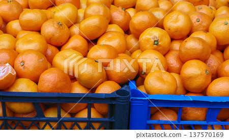 Fruit market. Stalls with fresh, sweet, juicy tangerines 137570169