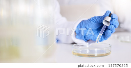Hand, petri dish and liquid, chemical and pipette in laboratory with scientist person and experiment. Liquid solution, glass and test for medical research, science study and chemistry with closeup Hand, petri dish and liquid, chemical and pipette in laboratory with scientist person and experiment. Liquid solution, glass and test for medical research, science study and chemistry with closeup 137570225