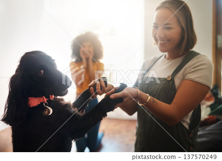 Happy, dance and dog with woman in home, living room and teaching or learning a trick in development or growth in apartment. Training, pet and people in house with cocker spaniel, animal and bonding Happy, dance and dog with woman in home, living room and teaching or learning a trick in development or growth in apartment. Training, pet and people in house with cocker spaniel, animal and bonding 137570249