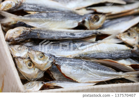 A fish bladder sold at a dried fish store in Des Voeux Road, Hong Kong. Very expensive and expensive Chinese food called "fish gall bladder" 137570407