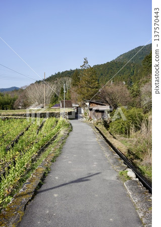 tranquil scenery of the countryside 137570443
