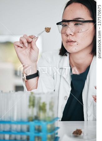 Science, plant sample and Asian woman in laboratory for analysis, medical research and study. Horticulture, pharmaceutical and scientist with plants for testing, innovation and medicine development 137570675