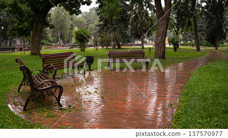 Empty Benches in City Park After Rain Empty Benches in City Park After Rain 137570977