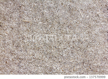 Texture background of natural wood sawdust, fine wooden particles forming organic pattern, eco friendly woodworking material, abstract rustic surface of carpentry dust, recycled timber texture Texture background of natural wood sawdust, fine wooden particles forming organic pattern, eco friendly woodworking material, abstract rustic surface of carpentry dust, recycled timber texture 137570999