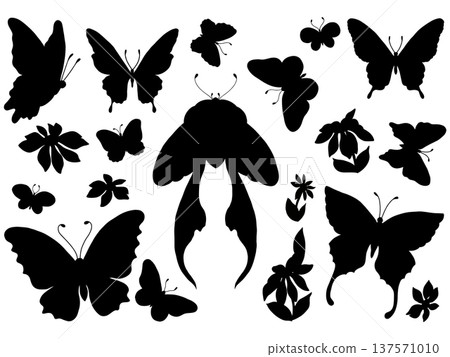 set of different types of butterflies 137571010