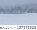 Snow-covered meadows and forest edge trees 137571628