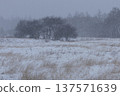 Winter-dead grassland on a plateau hit by heavy snowfall 137571639