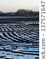 Vegetable fields on the plateau at dusk, with snow ruts remaining 137571647