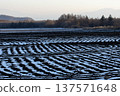 Vegetable fields on the plateau at dusk, with snow ruts remaining 137571648