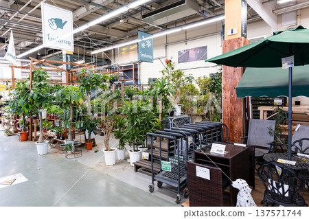 Konan Green Walk Tama Store，室內植物，別所，八王子，東京 137571744