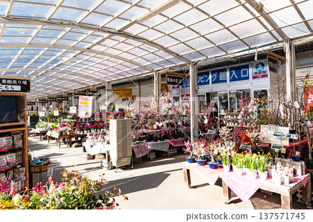 京南綠道多摩店，各種樹木，別所，八王子市，東京 137571745