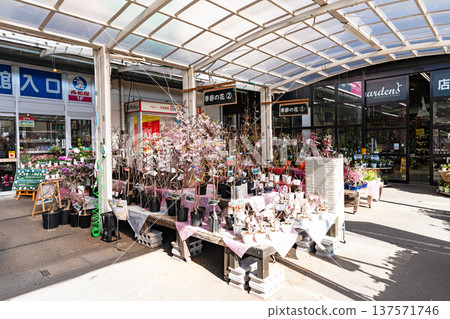 京南綠道多摩店，時令花卉，別所，八王子市，東京 137571746