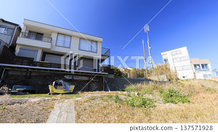諾比海岸的春天，以其水仙花路而聞名 137571928