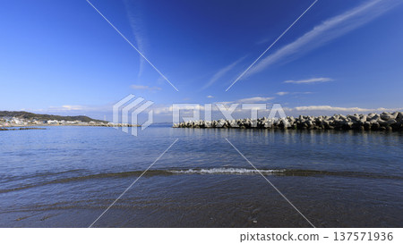 Spring at Nobi Coast, famous for its daffodil road Spring at Nobi Coast, famous for its daffodil road 137571936