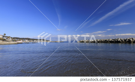 Spring at Nobi Coast, famous for its daffodil road Spring at Nobi Coast, famous for its daffodil road 137571937