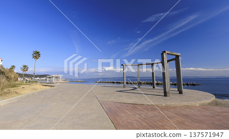 Spring at Nobi Coast, famous for its daffodil road 137571947