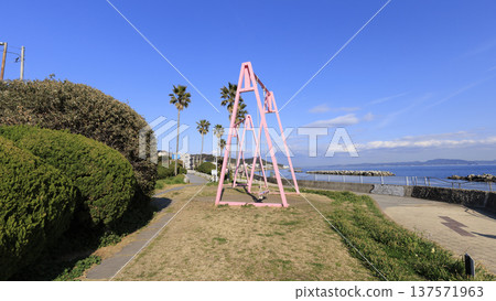 Spring at Nobi Coast, famous for its daffodil road Spring at Nobi Coast, famous for its daffodil road 137571963