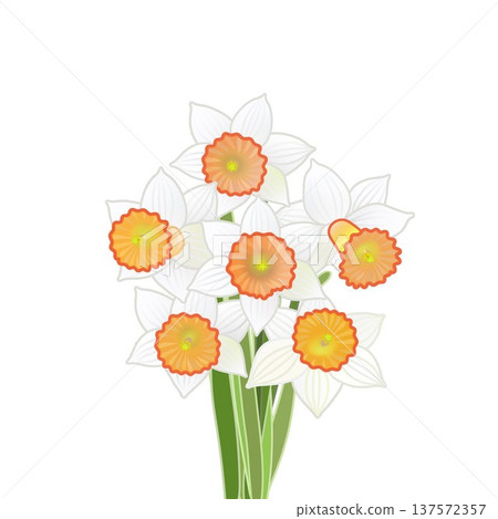 一束水仙花的插圖 一束水仙花的插圖 137572357