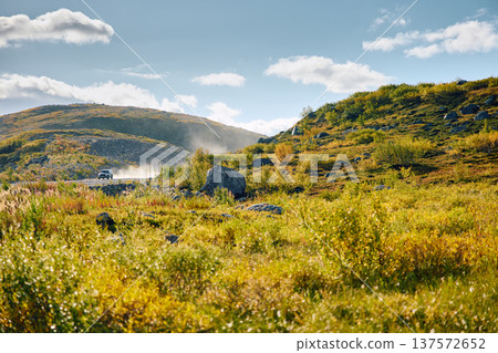 a car on the road in the background, the coast of the Barents Sea, colourful arctic carpet of moss, yagel, moss, mountain, Murmansk region, Russia 137572652