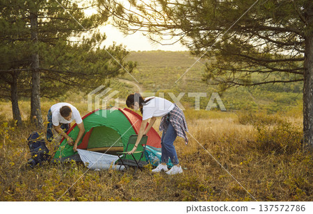 Tourist couple pitching camping tent under pine trees on sunny autumn hillside 137572786