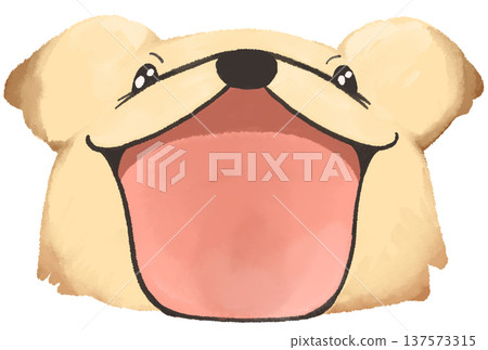 金毛犬張著嘴的臉 金毛犬張著嘴的臉 137573315