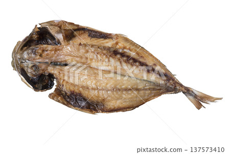 竹莢魚的開幕 137573410