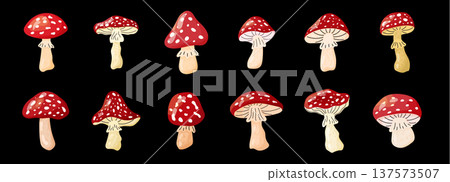 Mushroom red toadstool agaric with psychedelic amanita set and vector forest fly fungi for a poisonous illustration. Isolated flyagaric background or decorative design through fairytale pattern. Mushroom red toadstool agaric with psychedelic amanita set and vector forest fly fungi for a poisonous illustration. Isolated flyagaric background or decorative design through fairytale pattern. 137573507