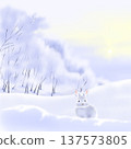 雪景和兔子 137573805