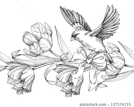 Seamless border of tulips and bird with bow. Handmade ink vector illustration of tulip. For design of cards, cover, prints, product labels and fabric. Seamless border of tulips and bird with bow. Handmade ink vector illustration of tulip. For design of cards, cover, prints, product labels and fabric. 137574155