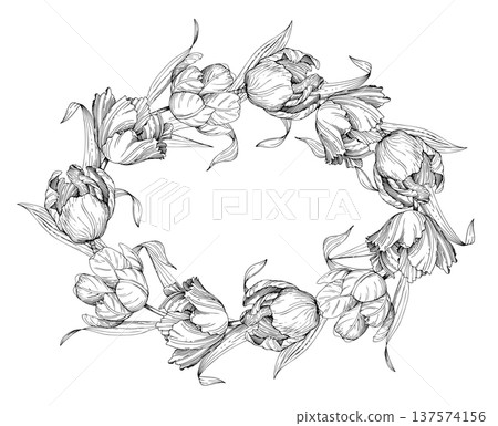 Oval frame of the tulips. Handmade ink vector illustration of tulip. For design of cards, cover, prints, product labels and fabric. Oval frame of the tulips. Handmade ink vector illustration of tulip. For design of cards, cover, prints, product labels and fabric. 137574156