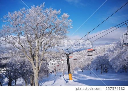 冬季的野澤溫泉滑雪場:小劍梨山坡被覆蓋著霜雪的樹木環繞 冬季的野澤溫泉滑雪場:小劍梨山坡被覆蓋著霜雪的樹木環繞 137574182