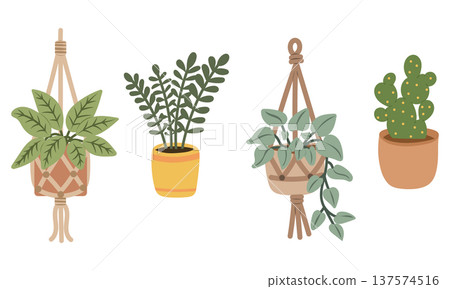 Indoor houseplant set with monstera, succulent and hanging ivy pot Indoor houseplant set with monstera, succulent and hanging ivy pot 137574516